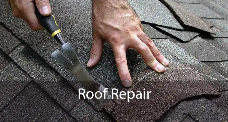 Roof Repair 