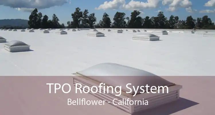 TPO Roofing System Bellflower - California