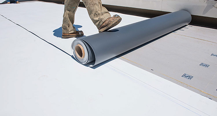 Thermoplastic Polyolefin Roofing Bellflower